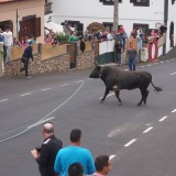 Terceria: Bull Run