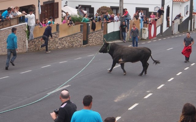 Terceria: Bull Run